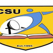 Ethiopian urbanization review book rolled out