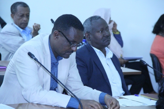 ኢሲሰዩ  የ2015 ዓ.ም የግማሽ ዓመት የሥራ አፈፃፀም ግምገማ አደረገ