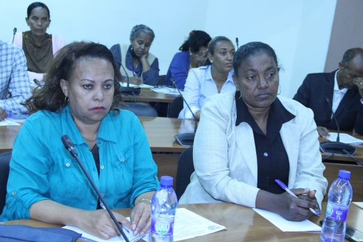 ኢሲሰዩ  የ2015 ዓ.ም የግማሽ ዓመት የሥራ አፈፃፀም ግምገማ አደረገ