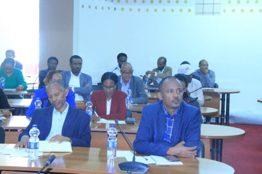 የኢሲሰዩ ካውንስል የ2016 የመጀመሪያ ሩብ ዓመት የስራ ክንውን ግምገማ አካሄደ