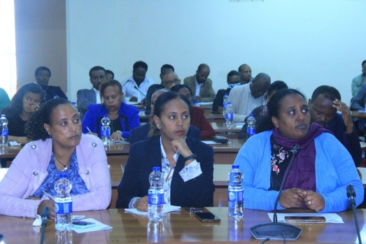 የኢሲሰዩ ካውንስል የ2016 የመጀመሪያ ሩብ ዓመት የስራ ክንውን ግምገማ አካሄደ