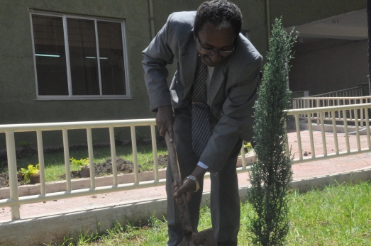 The 25th Anniversary of Ginbot 20 Colorfully Marked at ECSU