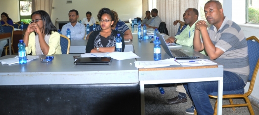 TCCD Gives Consultancy Skills Training