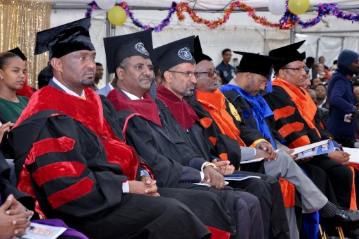 Ethiopian Civil Service University Graduates Students