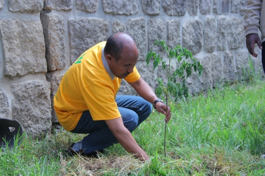 Green Club to Commence Action