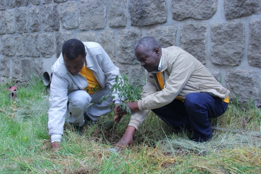 Green Club to Commence Action